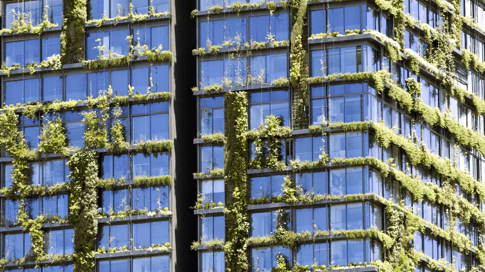 Building a sustainable enterprise