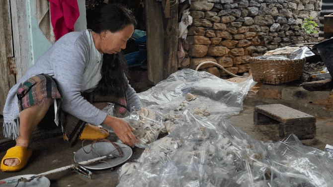 training on packaging of oyster mushroom for sale arunachal prdesh