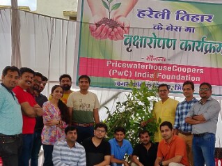 Tree plantation drive on Hareli Teej
