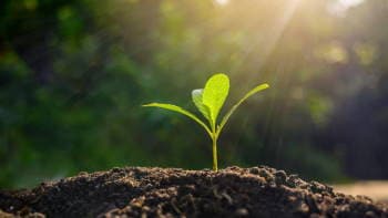 Sustainability - Leading tomorrow’s sustainability promise