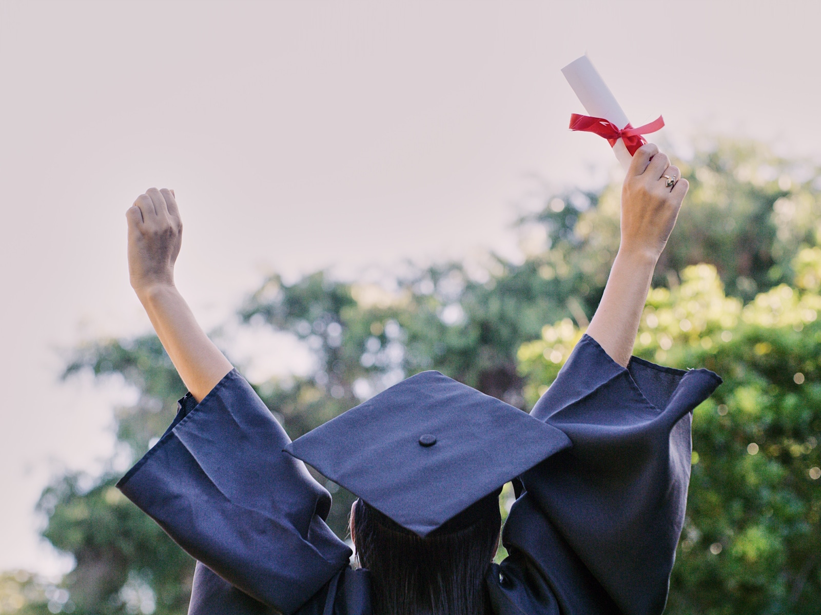 About the Scholarship