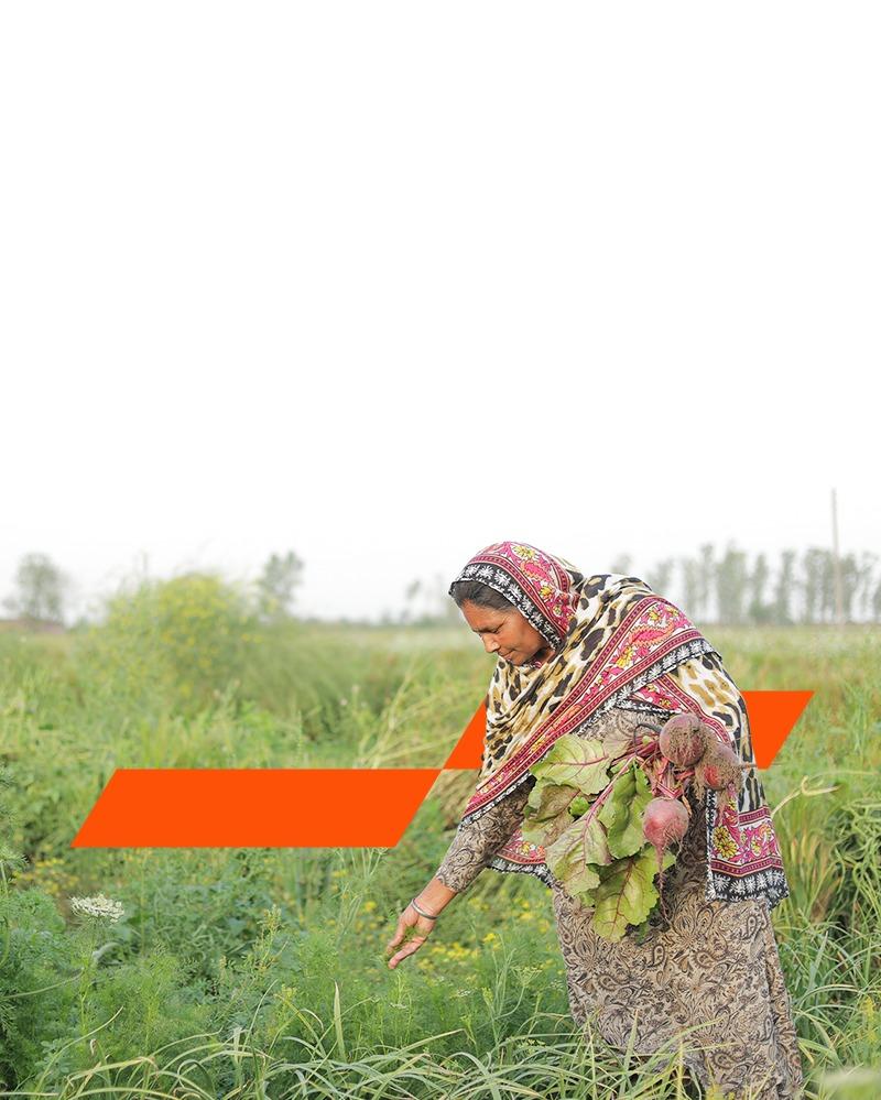 Corporate Social Responsibility