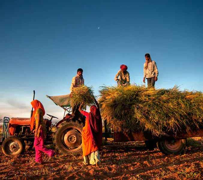 Agriculture - PwC India